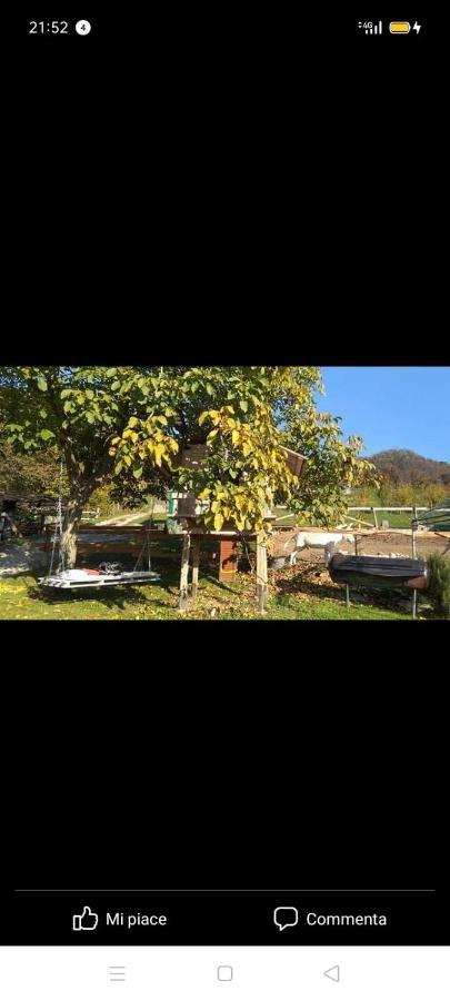 Berzo San Fermo B&B In Fattoria المظهر الخارجي الصورة